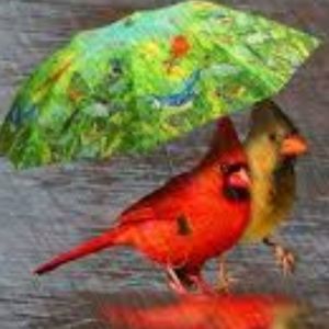 Meet your Posher, Dawn